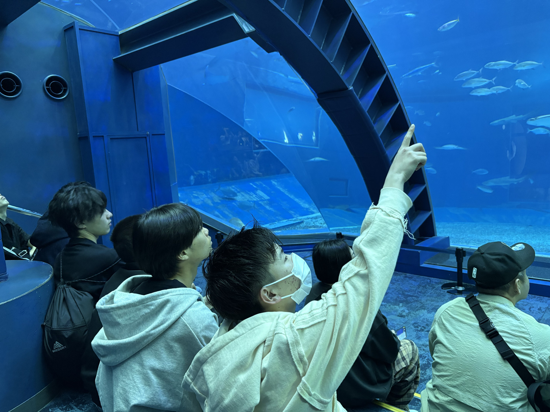 Image - 2026-02-10T165928.177